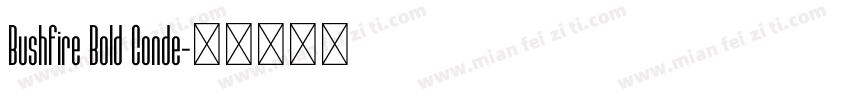 Bushfire Bold Conde字体转换